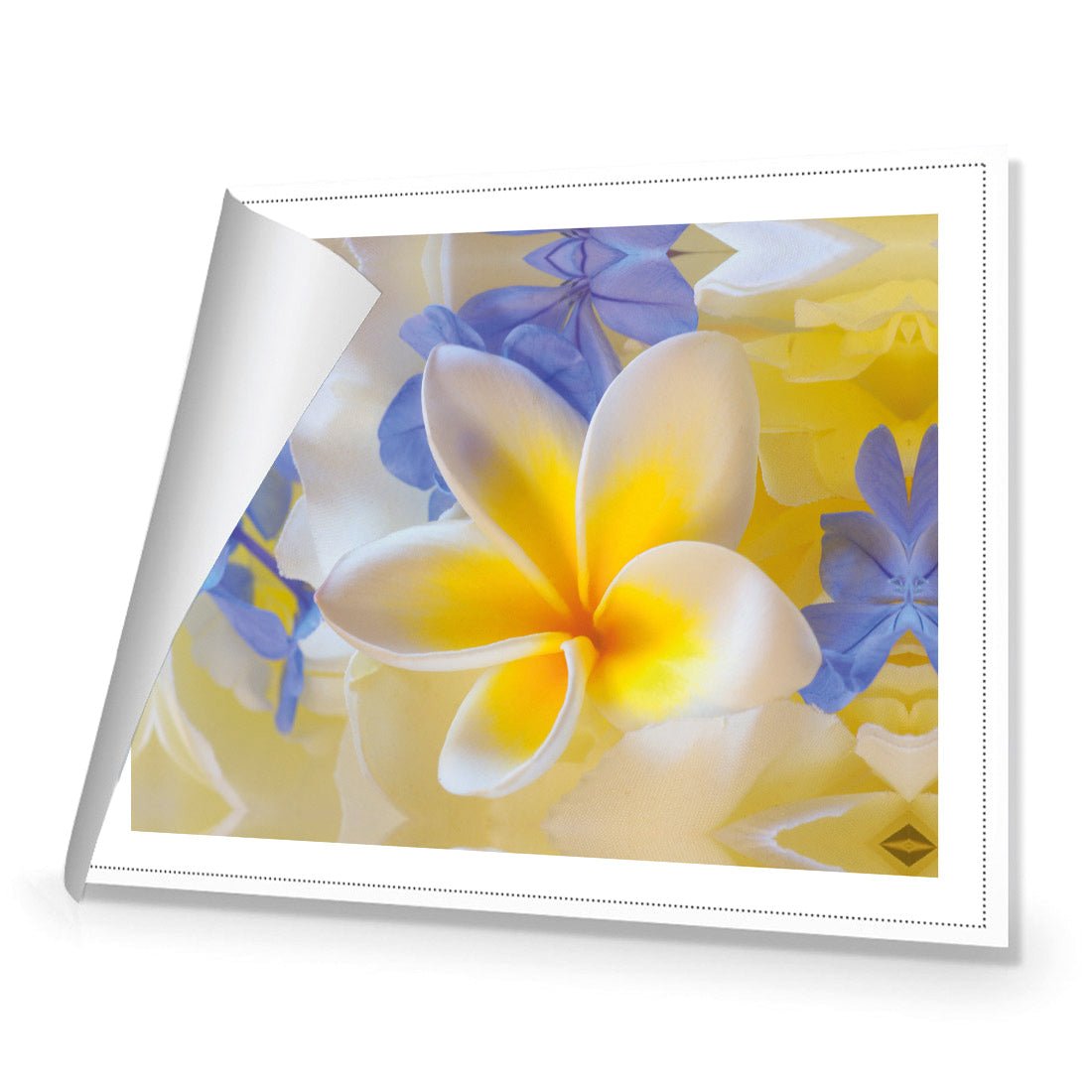 Frangipani and Cornflower - Wall Art Designs - 2508_AR_H WAD_CP - MPY - 260 - M - S - S_45x30_NONE