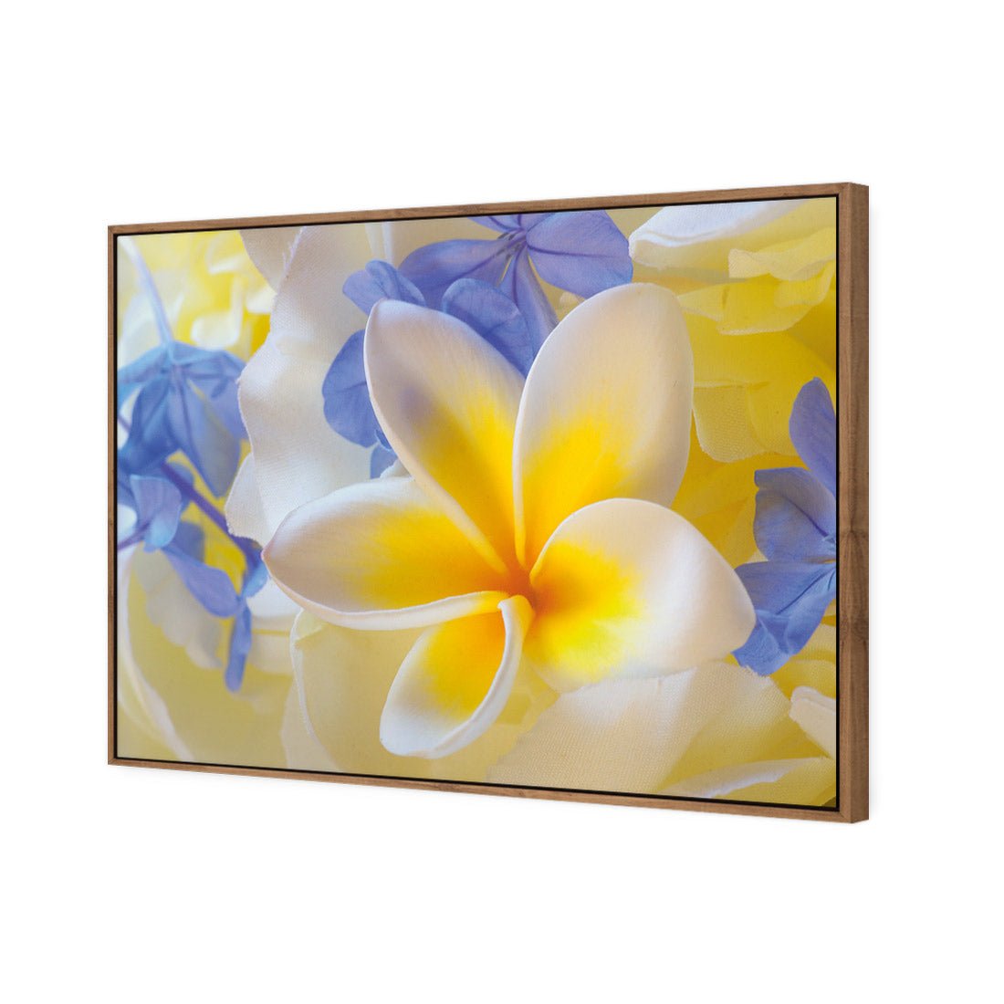 Frangipani and Cornflower - Wall Art Designs - 2508_AR_H WAD_CP - MPY - 260 - M - S - S_45x30_NONE