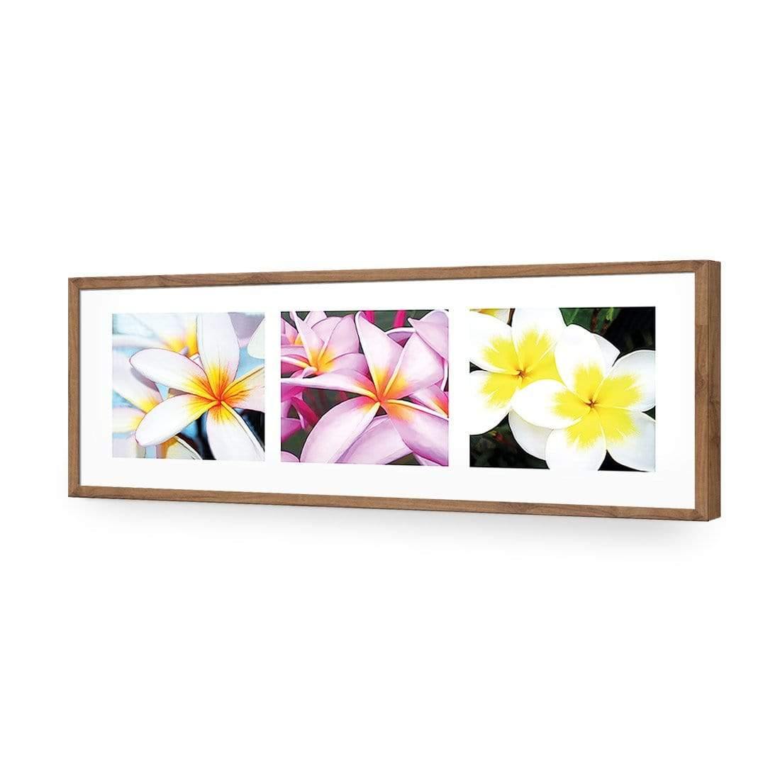 Frangipani Montage - Wall Art Designs - 321_AL_H WAD_AP - 030 - EDG_90x30_S - 2538 - NAT