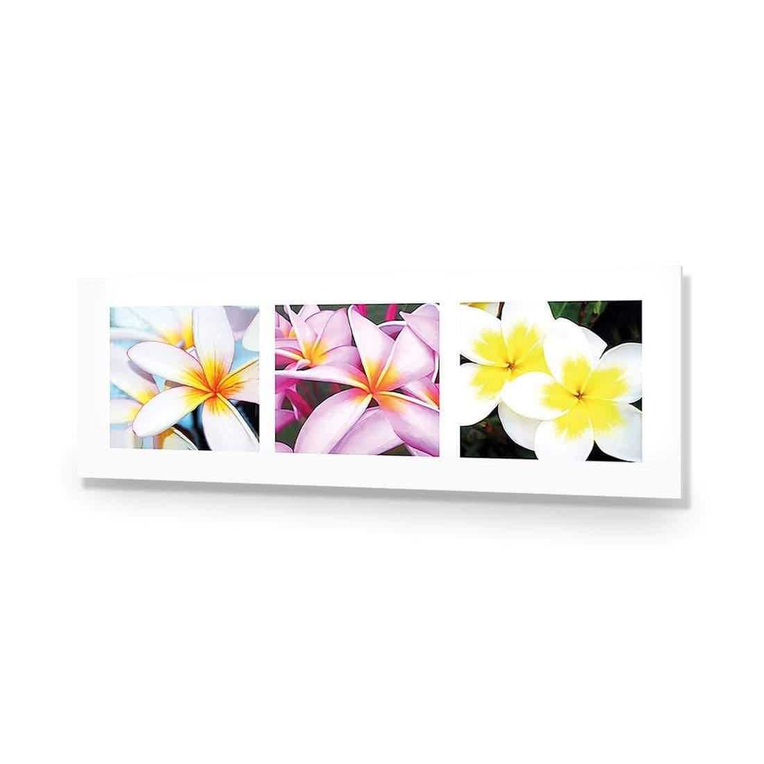 Frangipani Montage - Wall Art Designs - 321_AL_H WAD_AP - 030 - EDG_90x30_NONE