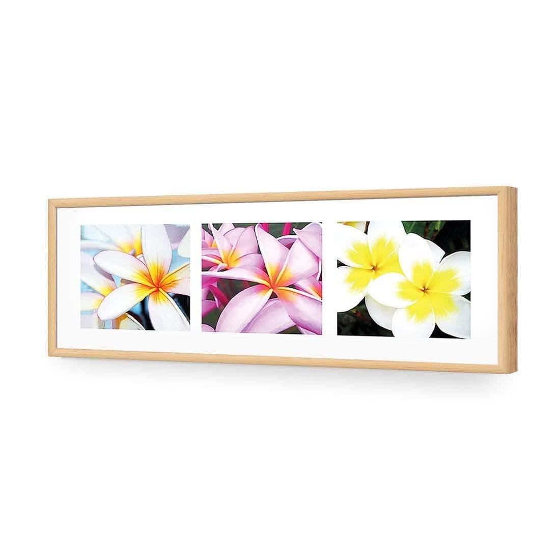 Frangipani Montage - Wall Art Designs - 321_AL_H WAD_AP - 030 - EDG_90x30_S - 2538 - OAK