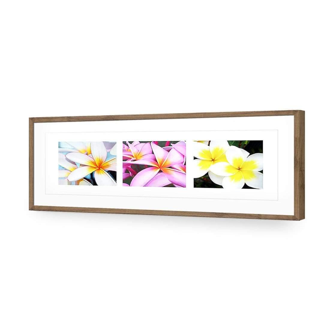 Frangipani Montage - Wall Art Designs - 321_AL_H WAD_AP - 030 - MAT_90x30_S - 2538 - NAT