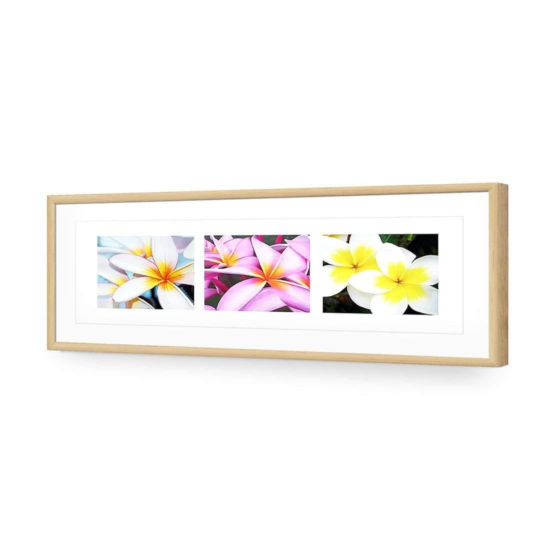 Frangipani Montage - Wall Art Designs - 321_AL_H WAD_AP - 030 - MAT_90x30_S - 2538 - OAK