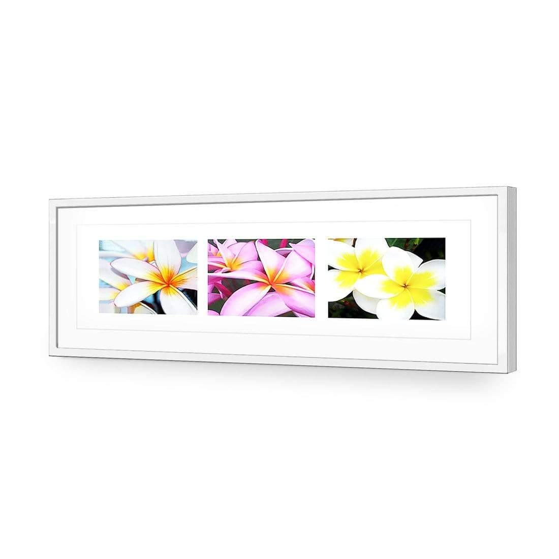 Frangipani Montage - Wall Art Designs - 321_AL_H WAD_AP - 030 - MAT_90x30_S - 2538 - WHT