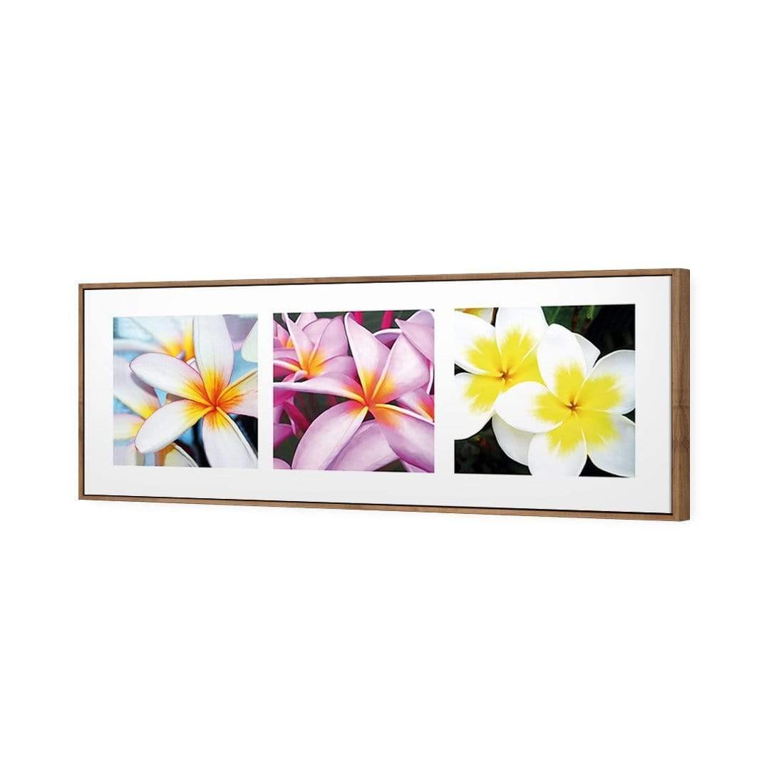 Frangipani Montage - Wall Art Designs - 321_AL_H WAD_CP - MPY - 260 - M - S - S_60x20_S - 1550 - NAT