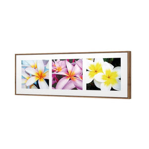 Frangipani Montage | Classic Canvas | Floating Frame | Natural