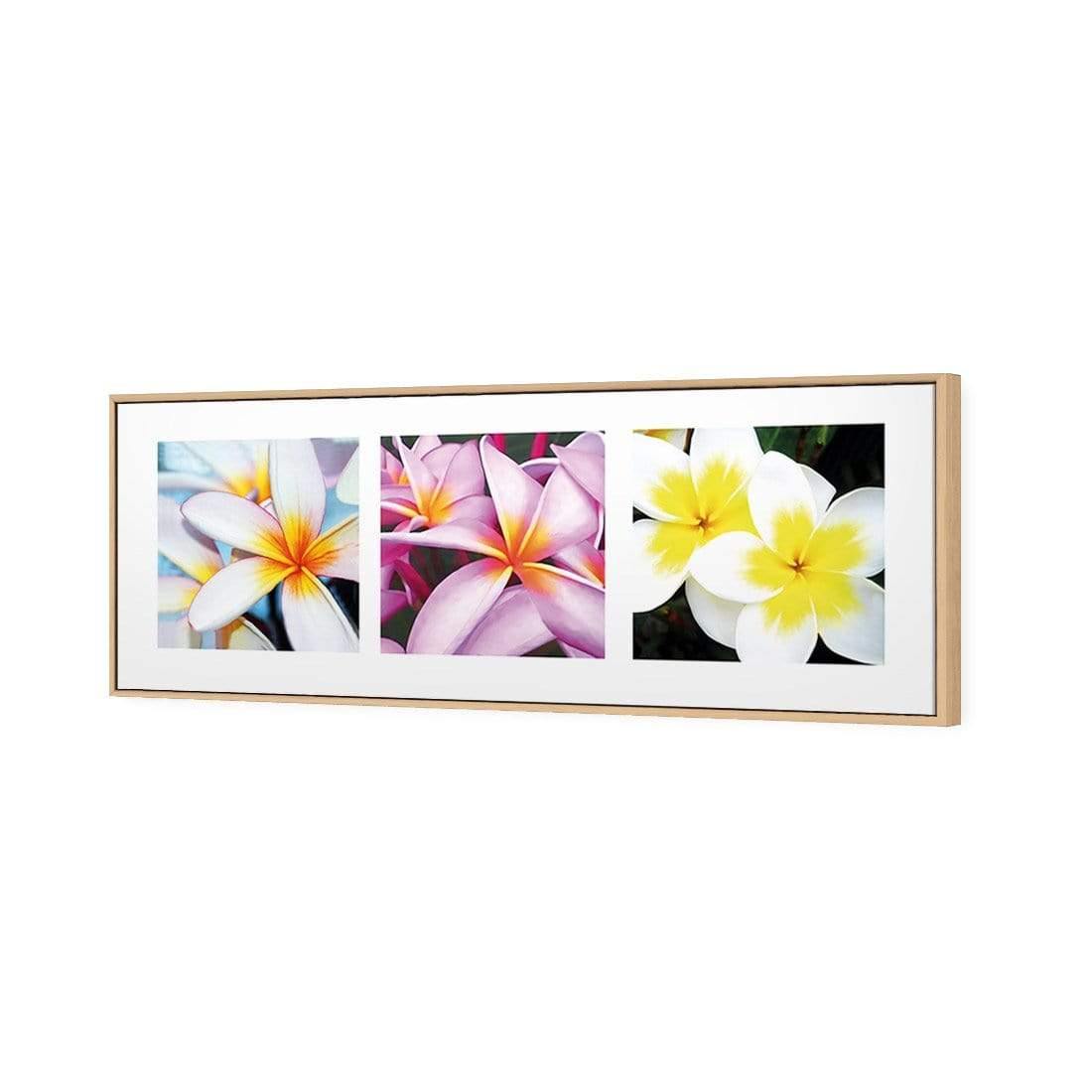 Frangipani Montage | Classic Canvas | Floating Frame | Oak