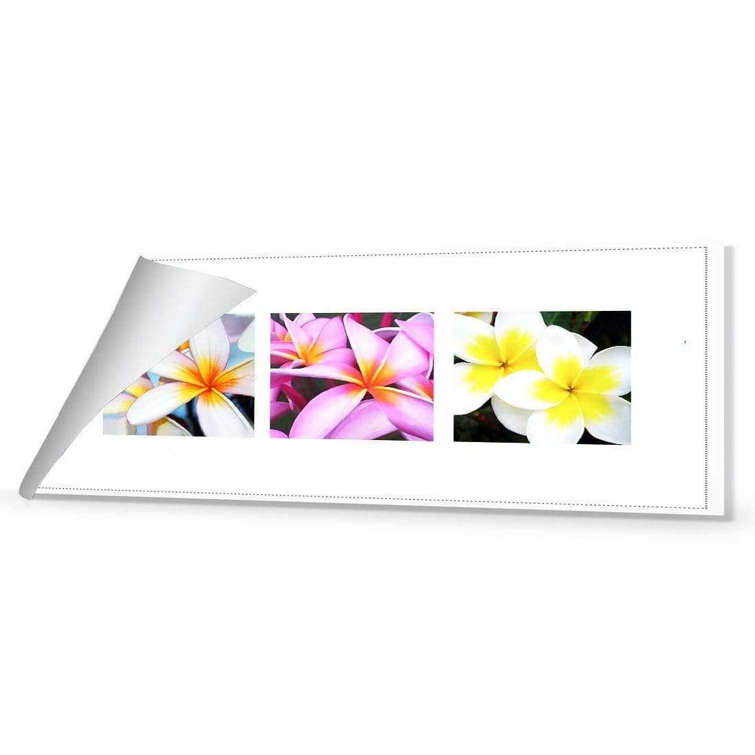 Frangipani Montage - Wall Art Designs - 321_AL_H WAD_CP - MPY - 260 - M - R_60x20_NONE