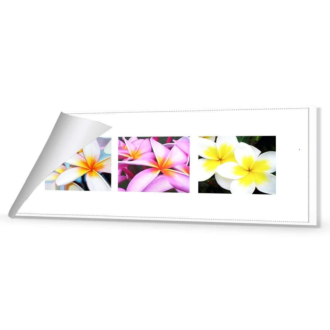 Frangipani Montage | Classic Canvas | No Frame | Rolled Canvas