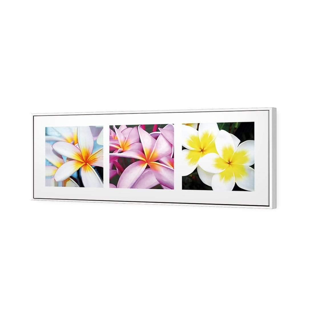 Frangipani Montage | Classic Canvas | Floating Frame | White