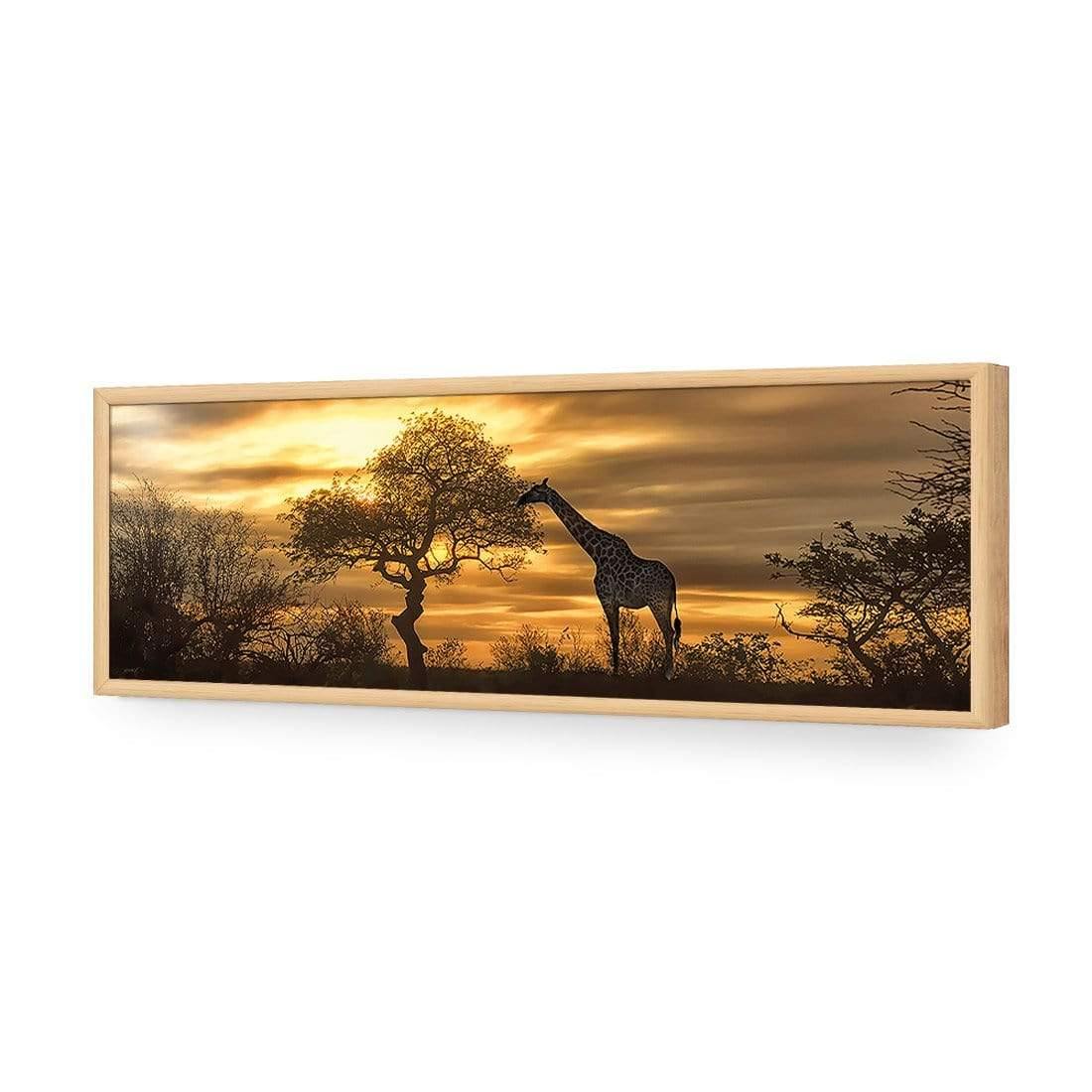 Giraffe at Sunset (long) - Wall Art Designs - 758_AL_H WAD_AP - 030 - EDG_90x30_S - 2538 - OAK