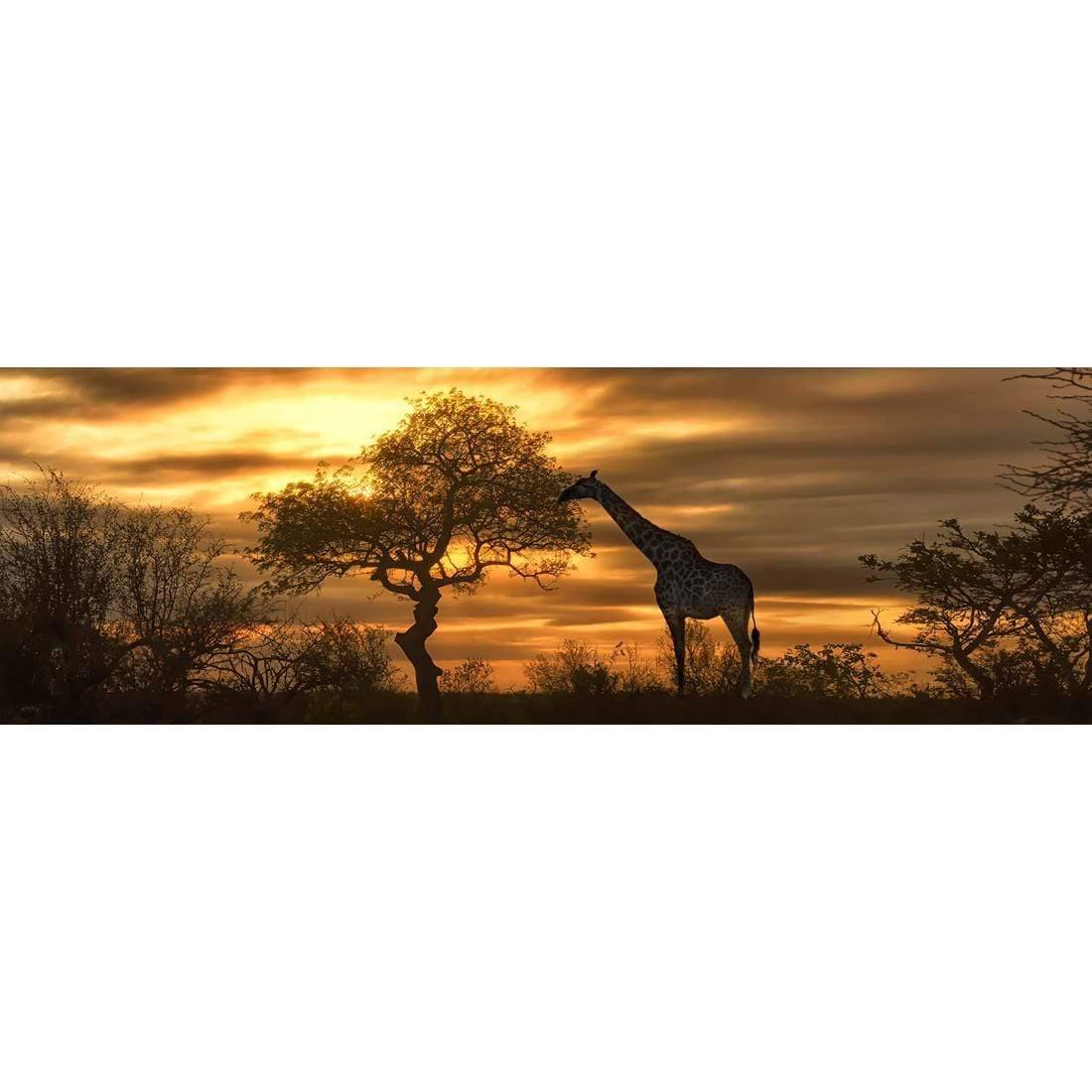 Giraffe at Sunset (long) | Classic Canvas | No Frame | Stretched Canvas