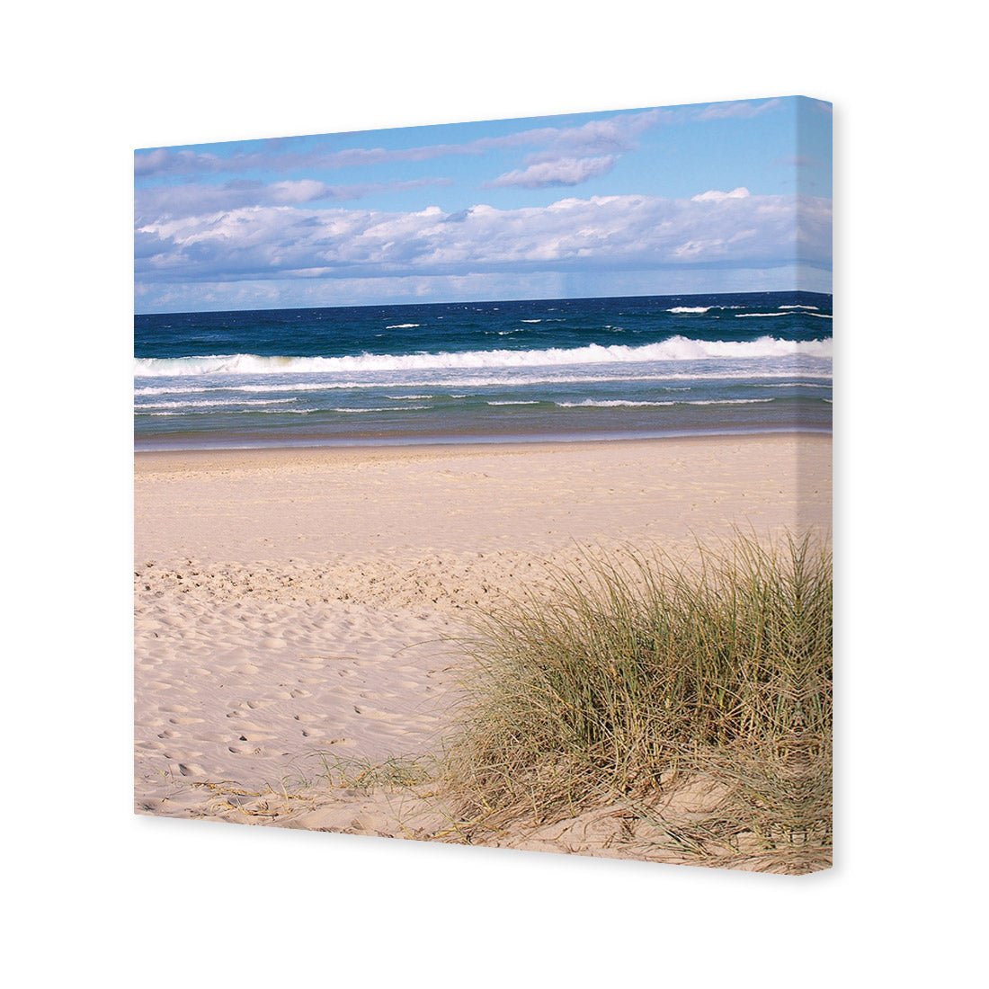 Gold Coast Beach (square) - Wall Art Designs - 1035_AS_Q WAD_CP - MPY - 260 - M - S - S_37x37_NONE