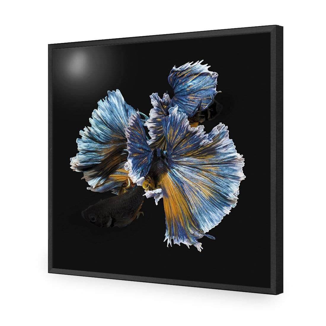 Grace I - Wall Art Designs - AU_1075_AS_Q WAD_AP - 030 - EDG_37x37_S - 2538 - BLK