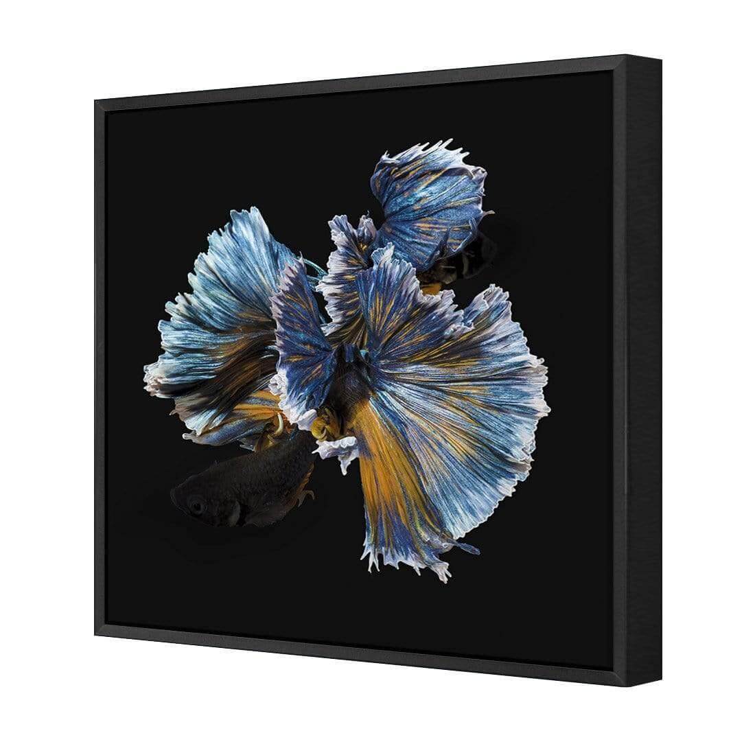 Grace I - Wall Art Designs - AU_1075_AS_Q WAD_CP - MPY - 260 - M - S - S_37x37_S - 1550 - BLK