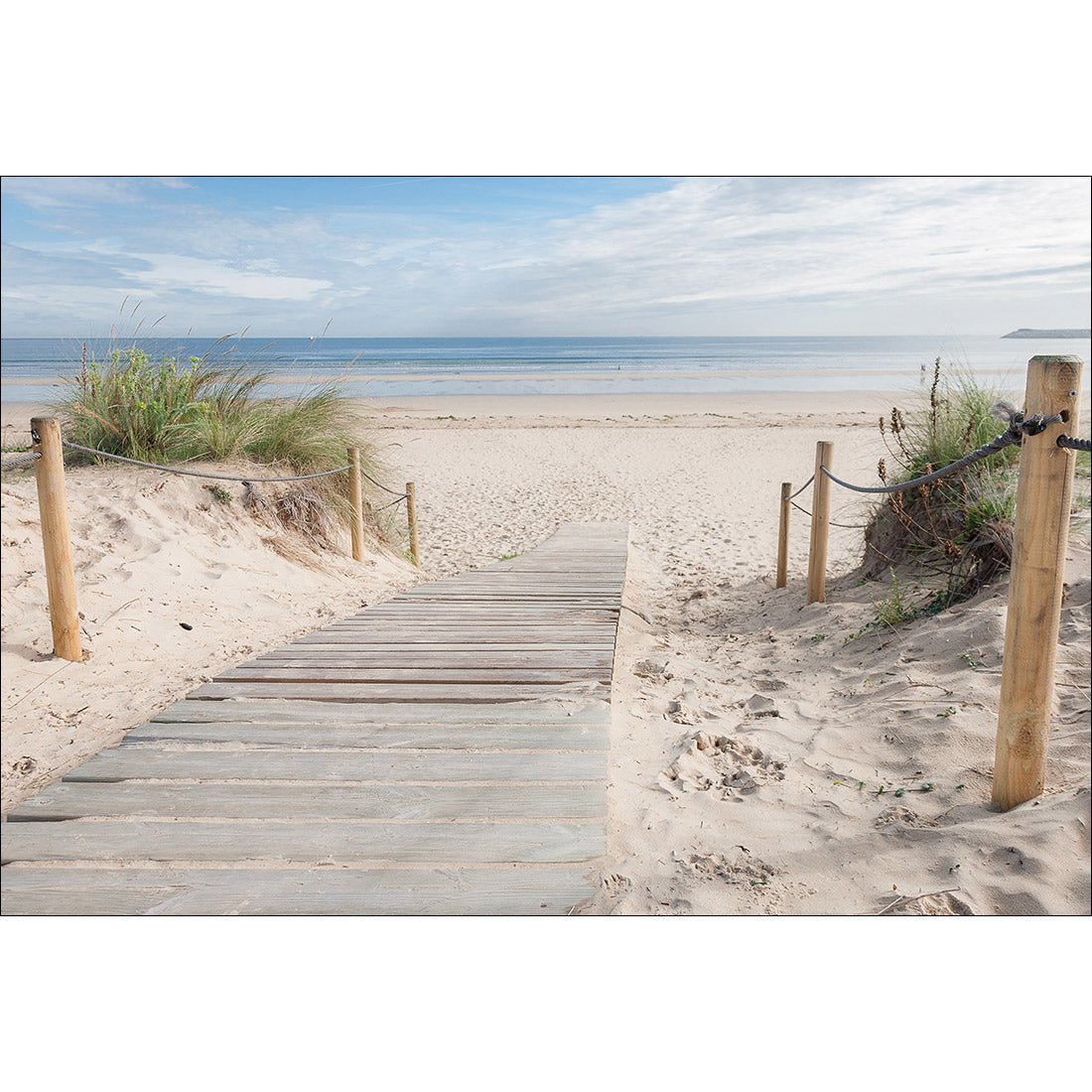 Grass and Dunes Perfect Pair - Wall Art Designs - SET2_5047_AR_H CAF_CP - MPY - 260 - M - S - S_45x30_NONE