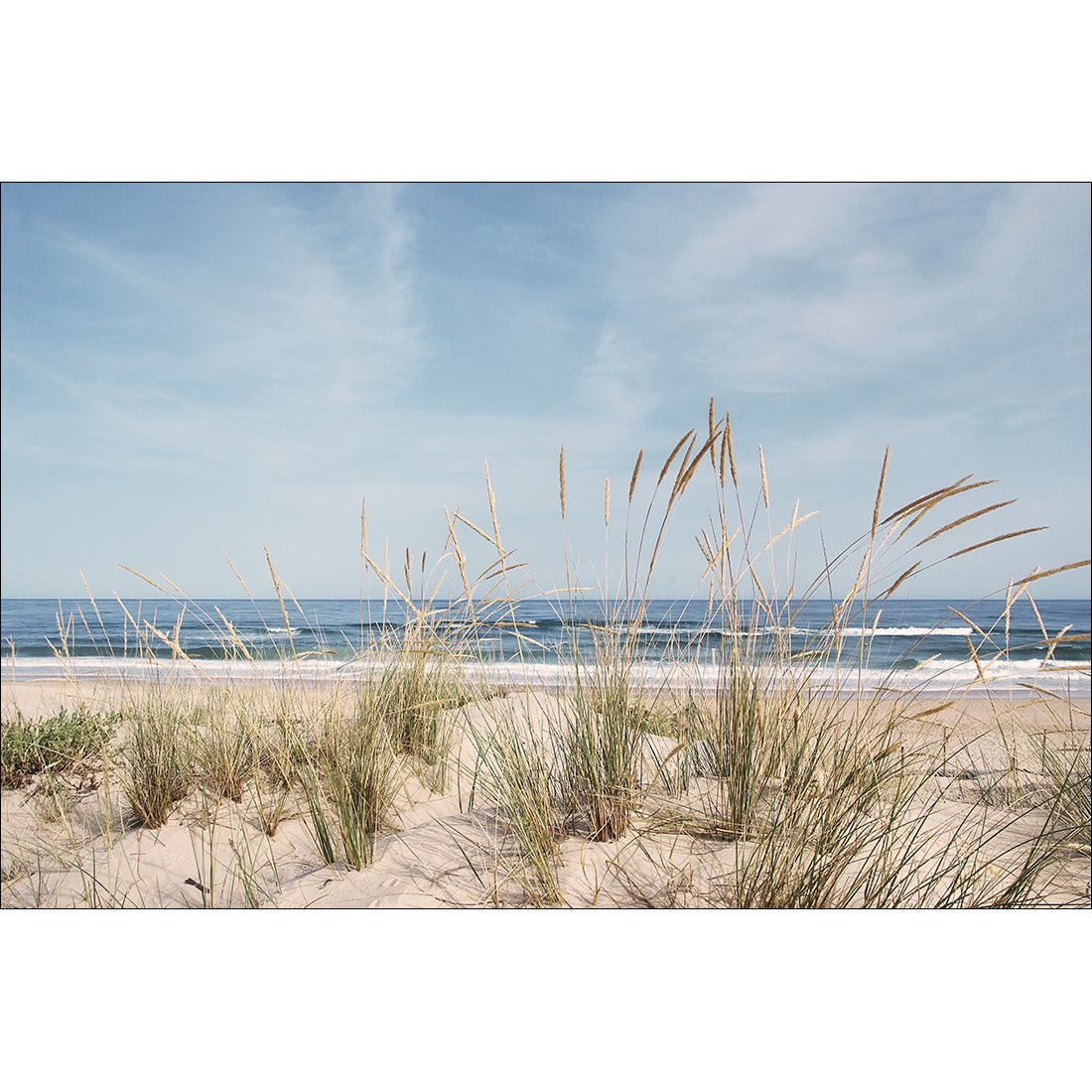 Grass and Dunes Perfect Pair - Wall Art Designs - SET2_5047_AR_H CAF_CP - MPY - 260 - M - S - S_45x30_NONE