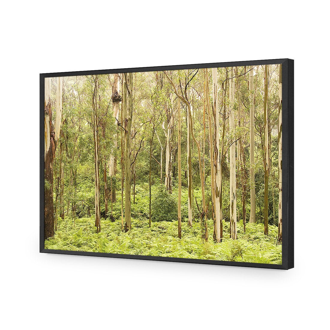 Gumtrees - Wall Art Designs - 1137_AR_H WAD_AP - 030 - EDG_45x30_S - 2538 - BLK