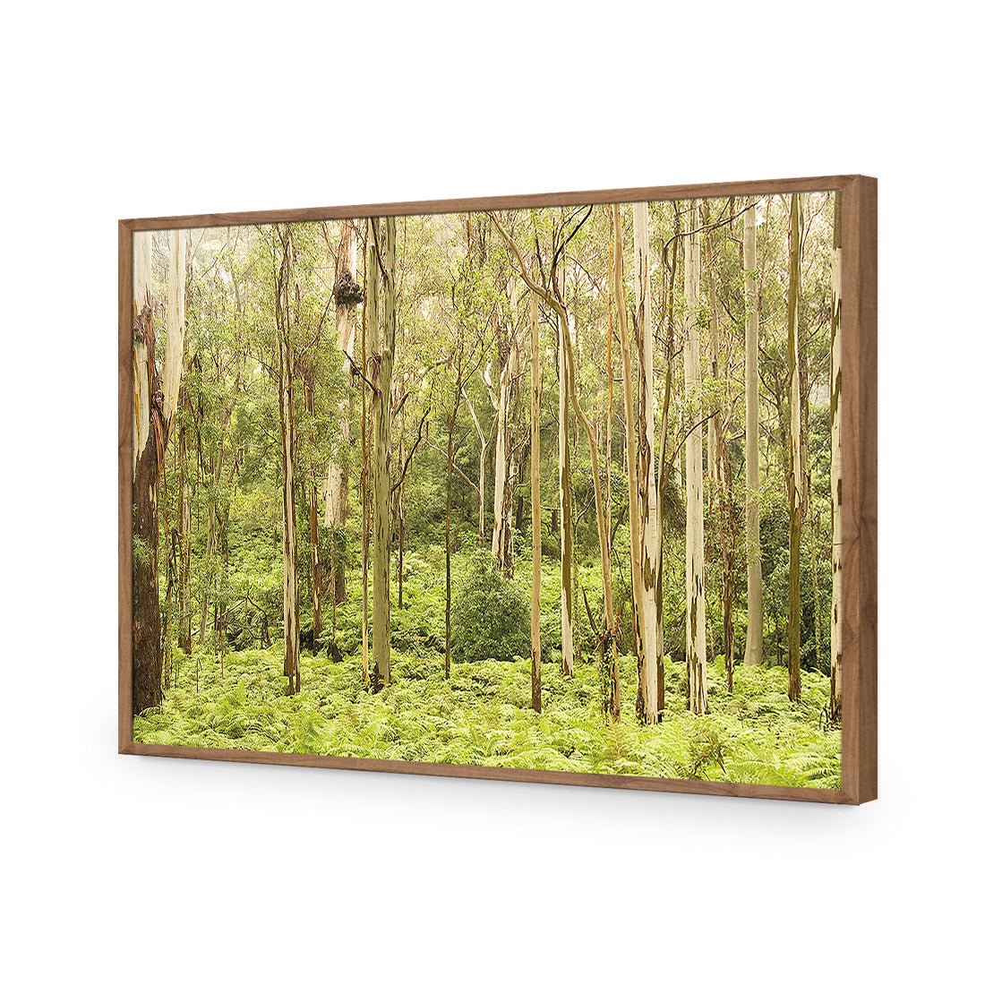 Gumtrees - Wall Art Designs - 1137_AR_H WAD_AP - 030 - EDG_45x30_S - 2538 - NAT