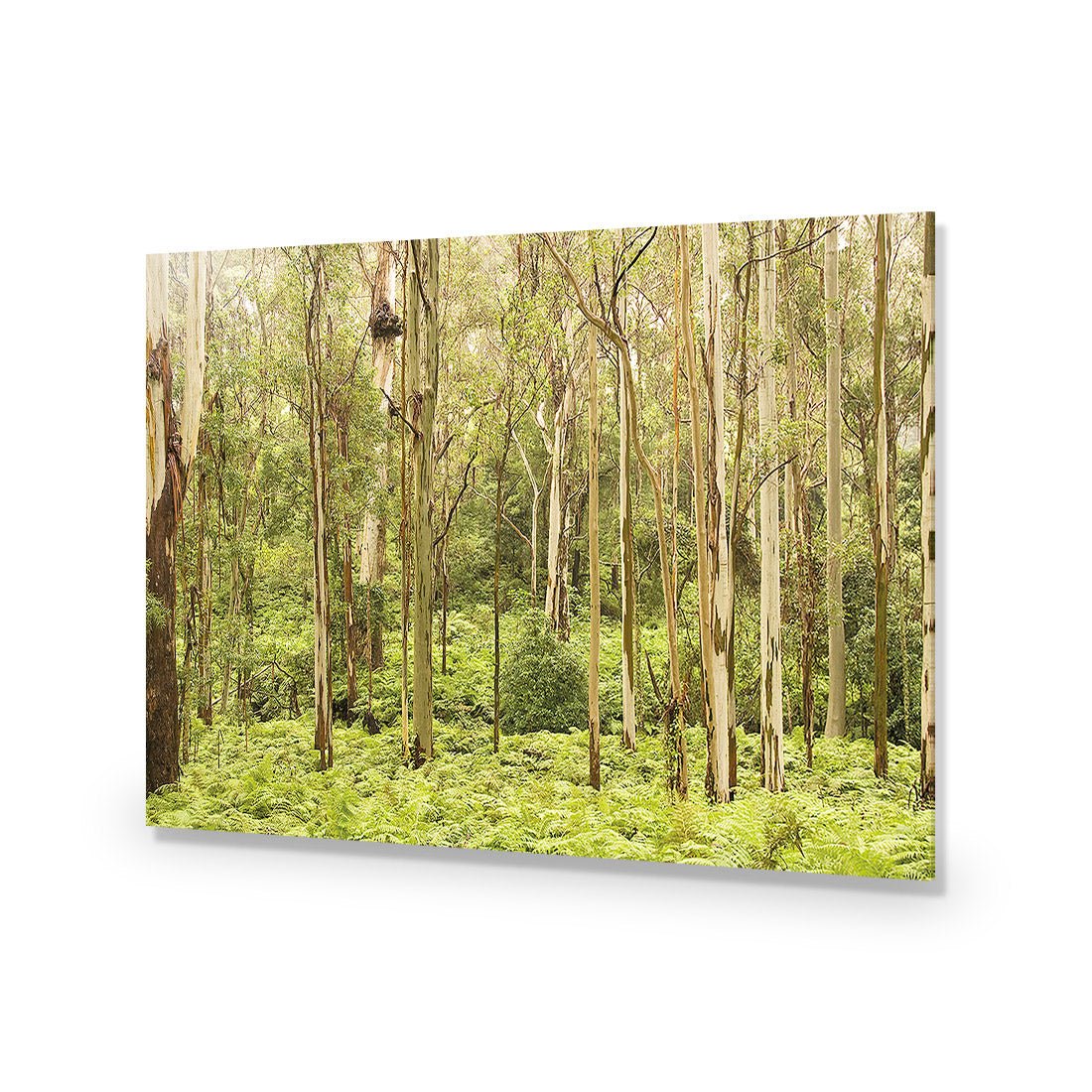 Gumtrees - Wall Art Designs - 1137_AR_H WAD_AP - 030 - EDG_45x30_NONE