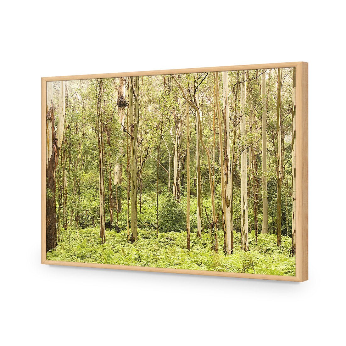 Gumtrees - Wall Art Designs - 1137_AR_H WAD_AP - 030 - EDG_45x30_S - 2538 - OAK