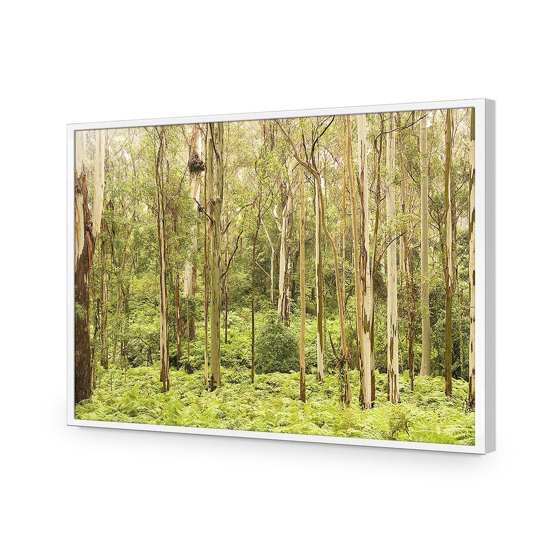 Gumtrees - Wall Art Designs - 1137_AR_H WAD_AP - 030 - EDG_45x30_S - 2538 - WHT