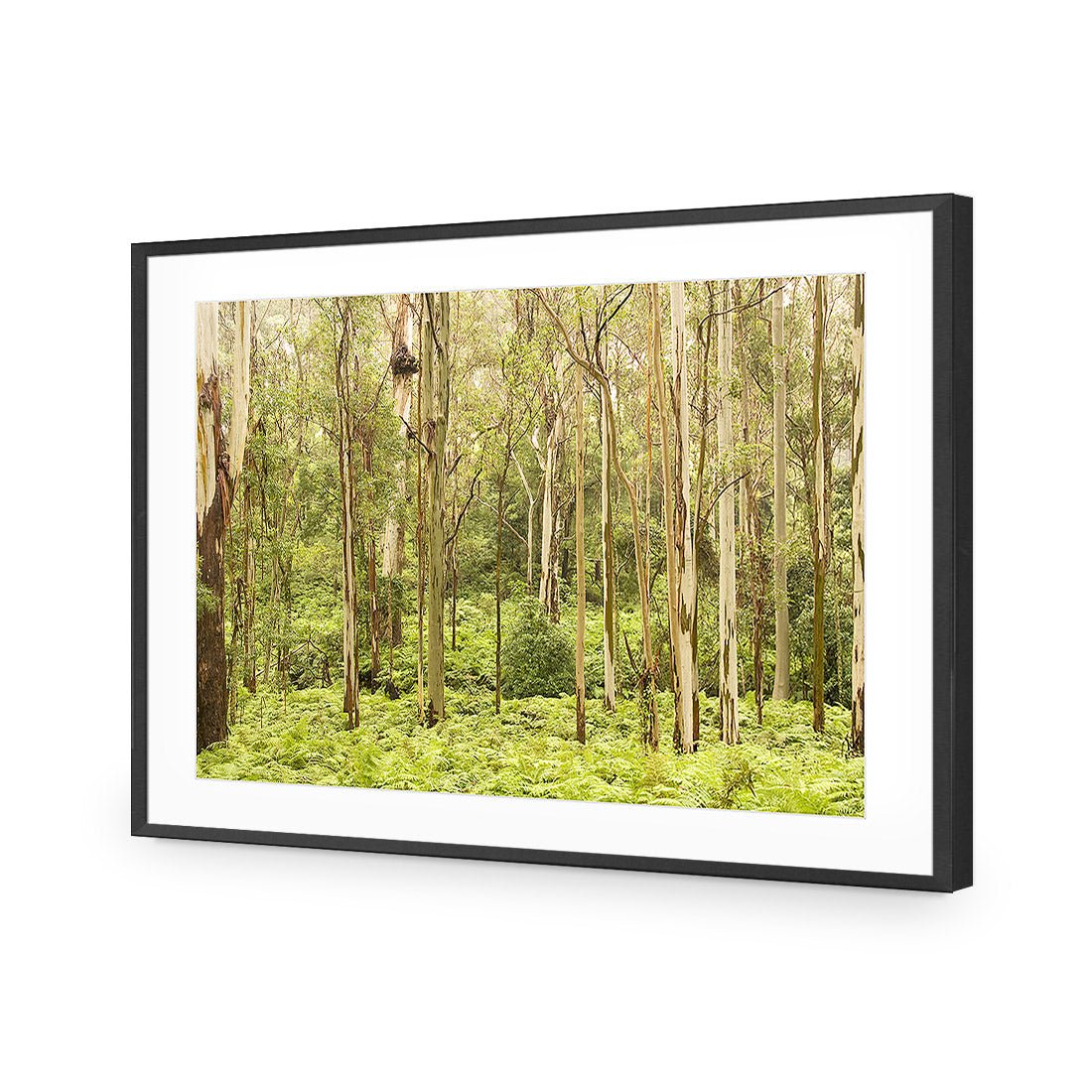 Gumtrees - Wall Art Designs - 1137_AR_H WAD_AP - 030 - MAT_45x30_S - 2538 - BLK