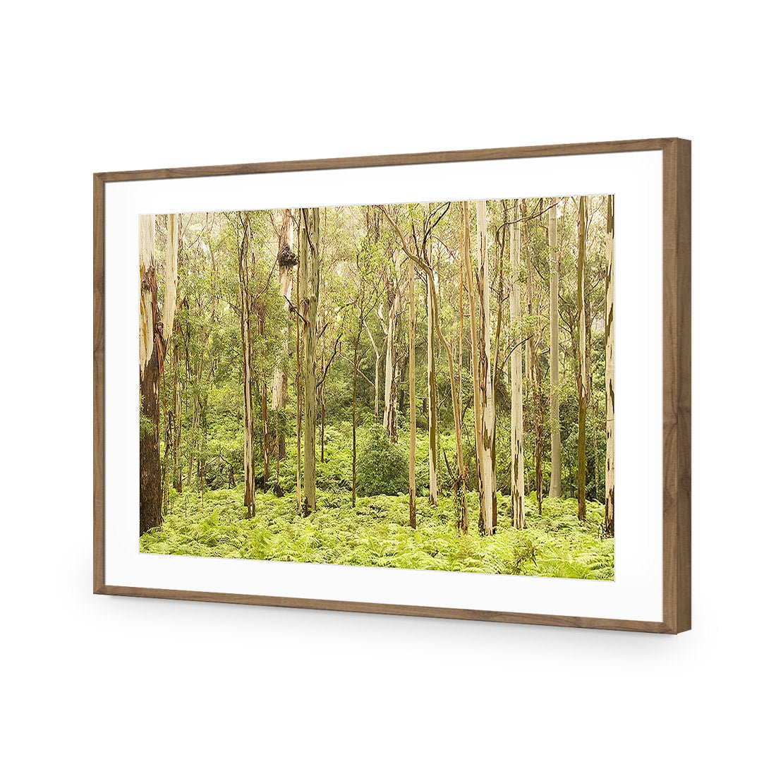 Gumtrees - Wall Art Designs - 1137_AR_H WAD_AP - 030 - MAT_45x30_S - 2538 - NAT