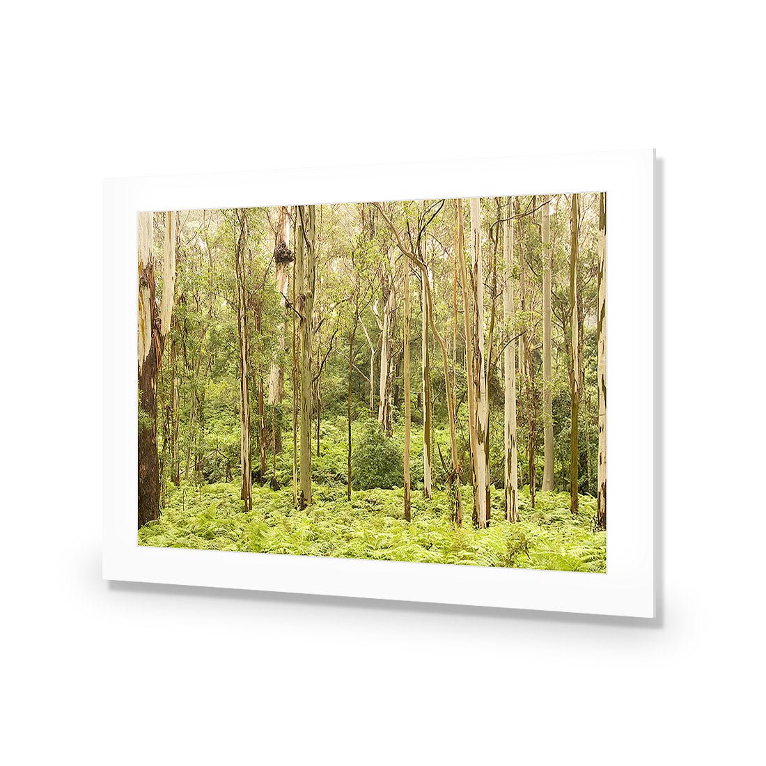 Gumtrees - Wall Art Designs - 1137_AR_H WAD_AP - 030 - MAT_45x30_NONE