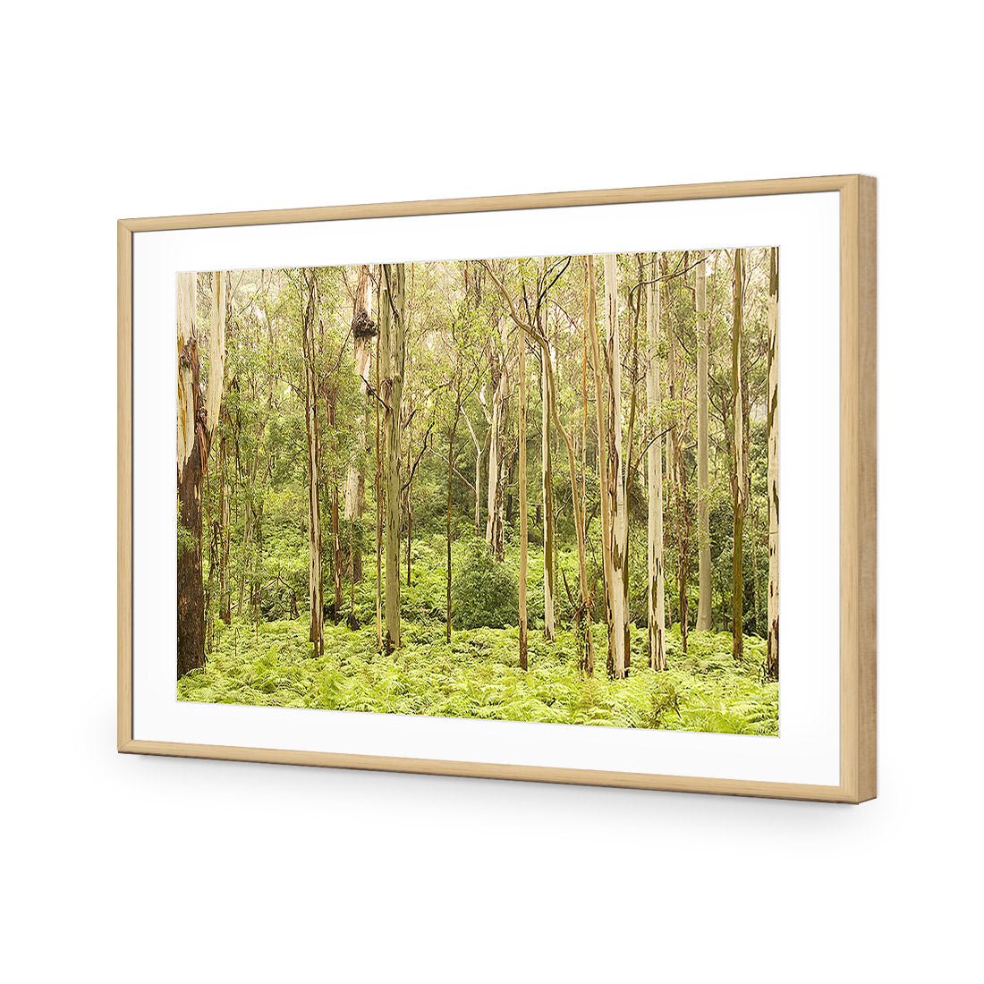 Gumtrees - Wall Art Designs - 1137_AR_H WAD_AP - 030 - MAT_45x30_S - 2538 - OAK