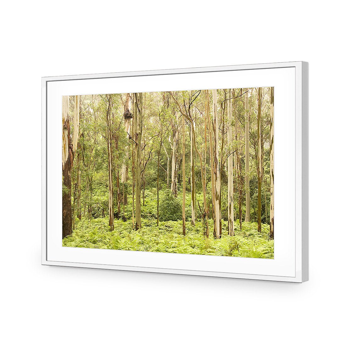 Gumtrees - Wall Art Designs - 1137_AR_H WAD_AP - 030 - MAT_45x30_S - 2538 - WHT