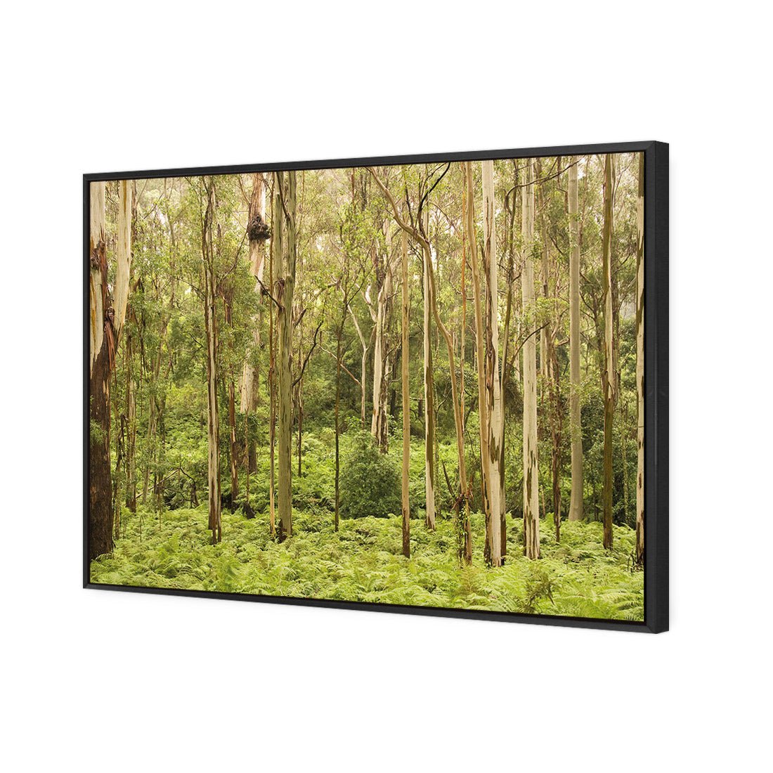 Gumtrees - Wall Art Designs - 1137_AR_H WAD_CP - MPY - 260 - M - S - S_45x30_S - 1550 - BLK