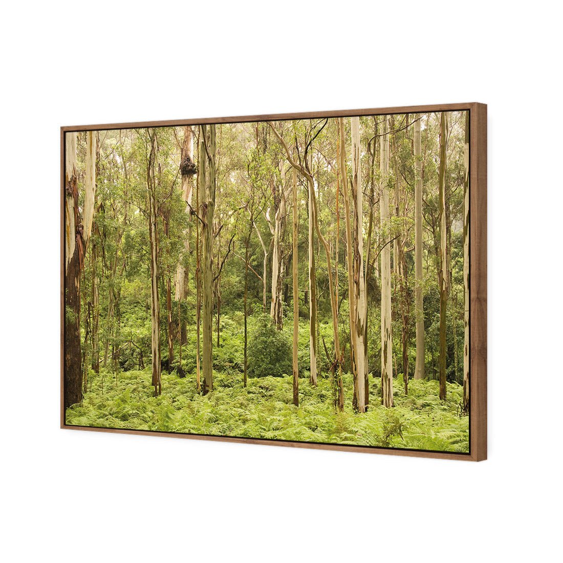 Gumtrees - Wall Art Designs - 1137_AR_H WAD_CP - MPY - 260 - M - S - S_45x30_S - 1550 - NAT