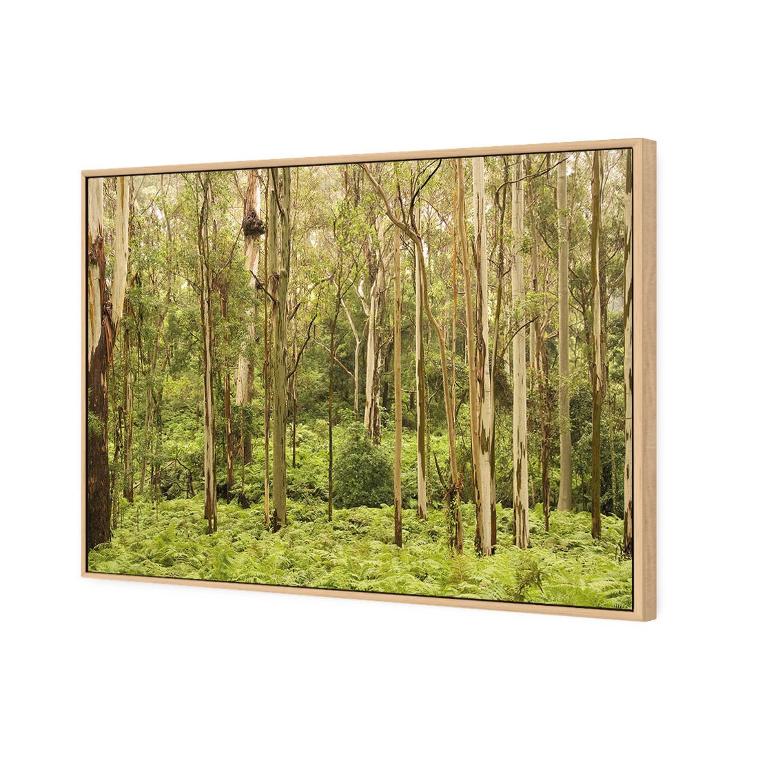 Gumtrees - Wall Art Designs - 1137_AR_H WAD_CP - MPY - 260 - M - S - S_45x30_S - 1550 - OAK