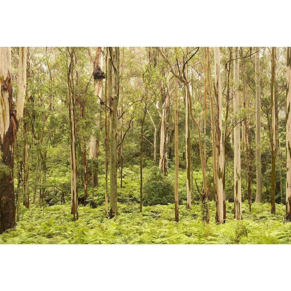 Gumtrees - Wall Art Designs - 1137_AR_H WAD_CP - MPY - 260 - M - S - S_45x30_NONE