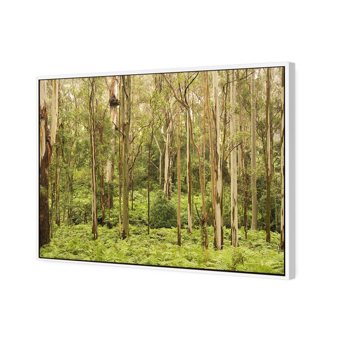 Gumtrees - Wall Art Designs - 1137_AR_H WAD_CP - MPY - 260 - M - S - S_45x30_S - 1550 - WHT