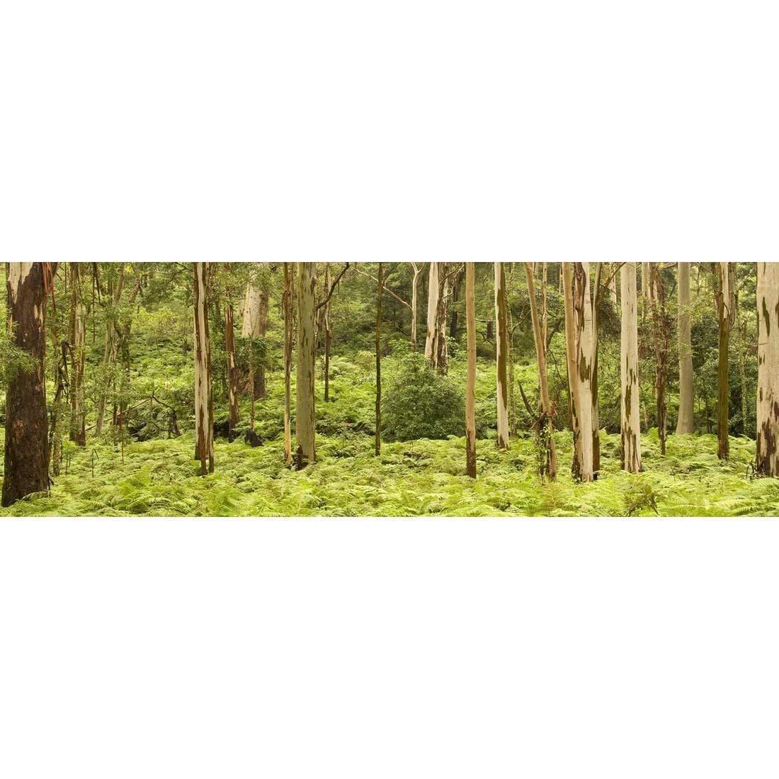 Gumtrees (long) - Wall Art Designs - 1137_AL_H WAD_CP - MPY - 260 - M - S - S_60x20_NONE