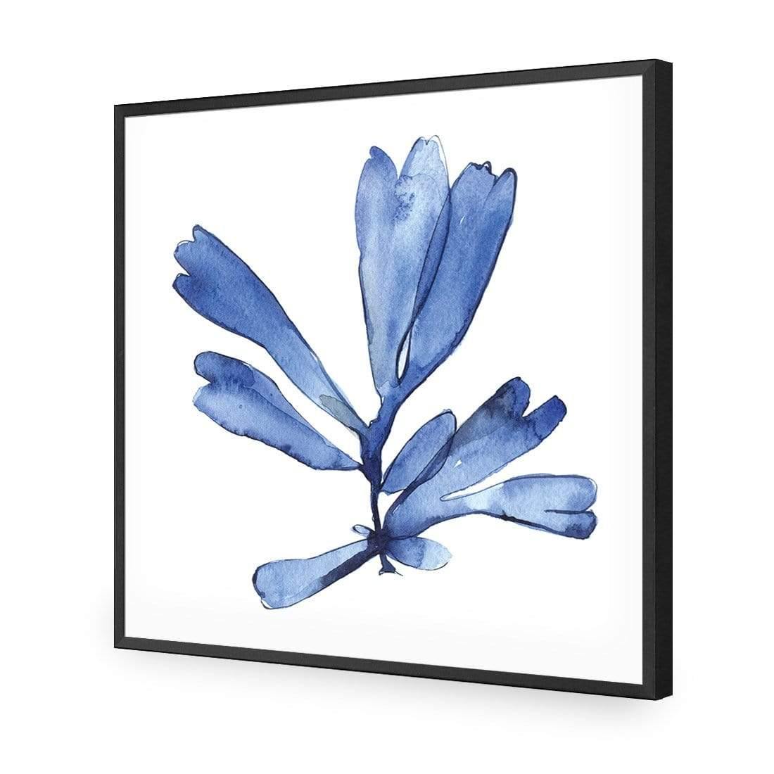 Hampton Flora 1 - Wall Art Designs - 3907_AS_Q WAD_AP - 030 - EDG_37x37_S - 2538 - BLK