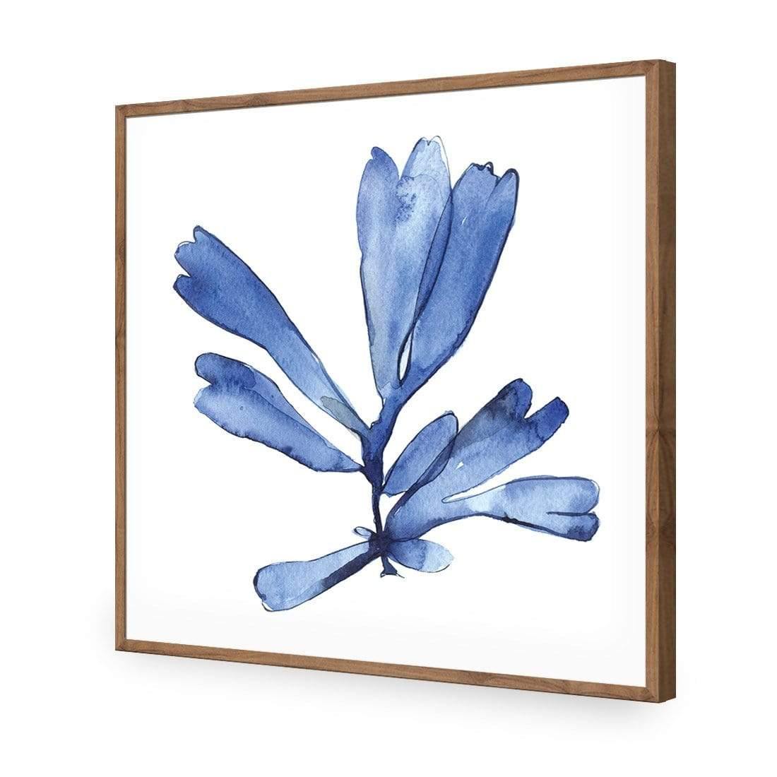 Hampton Flora 1 - Wall Art Designs - 3907_AS_Q WAD_AP - 030 - EDG_37x37_S - 2538 - NAT