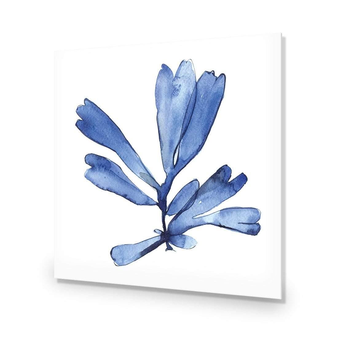 Hampton Flora 1 - Wall Art Designs - 3907_AS_Q WAD_AP - 030 - EDG_37x37_NONE