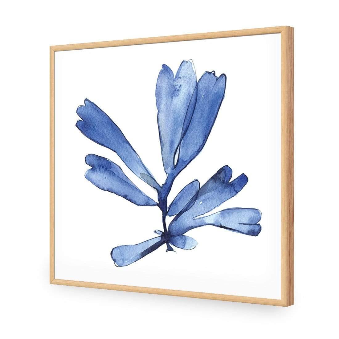 Hampton Flora 1 - Wall Art Designs - 3907_AS_Q WAD_AP - 030 - EDG_37x37_S - 2538 - OAK