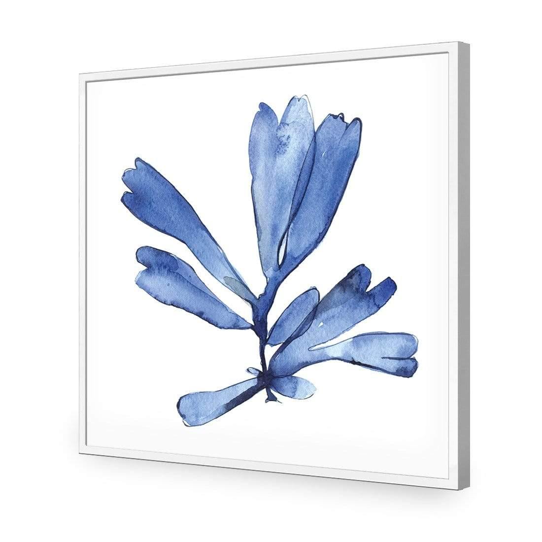 Hampton Flora 1 - Wall Art Designs - 3907_AS_Q WAD_AP - 030 - EDG_37x37_S - 2538 - WHT