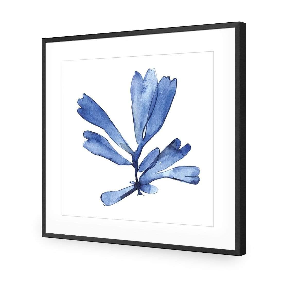 Hampton Flora 1 - Wall Art Designs - 3907_AS_Q WAD_AP - 030 - MAT_37x37_S - 2538 - BLK