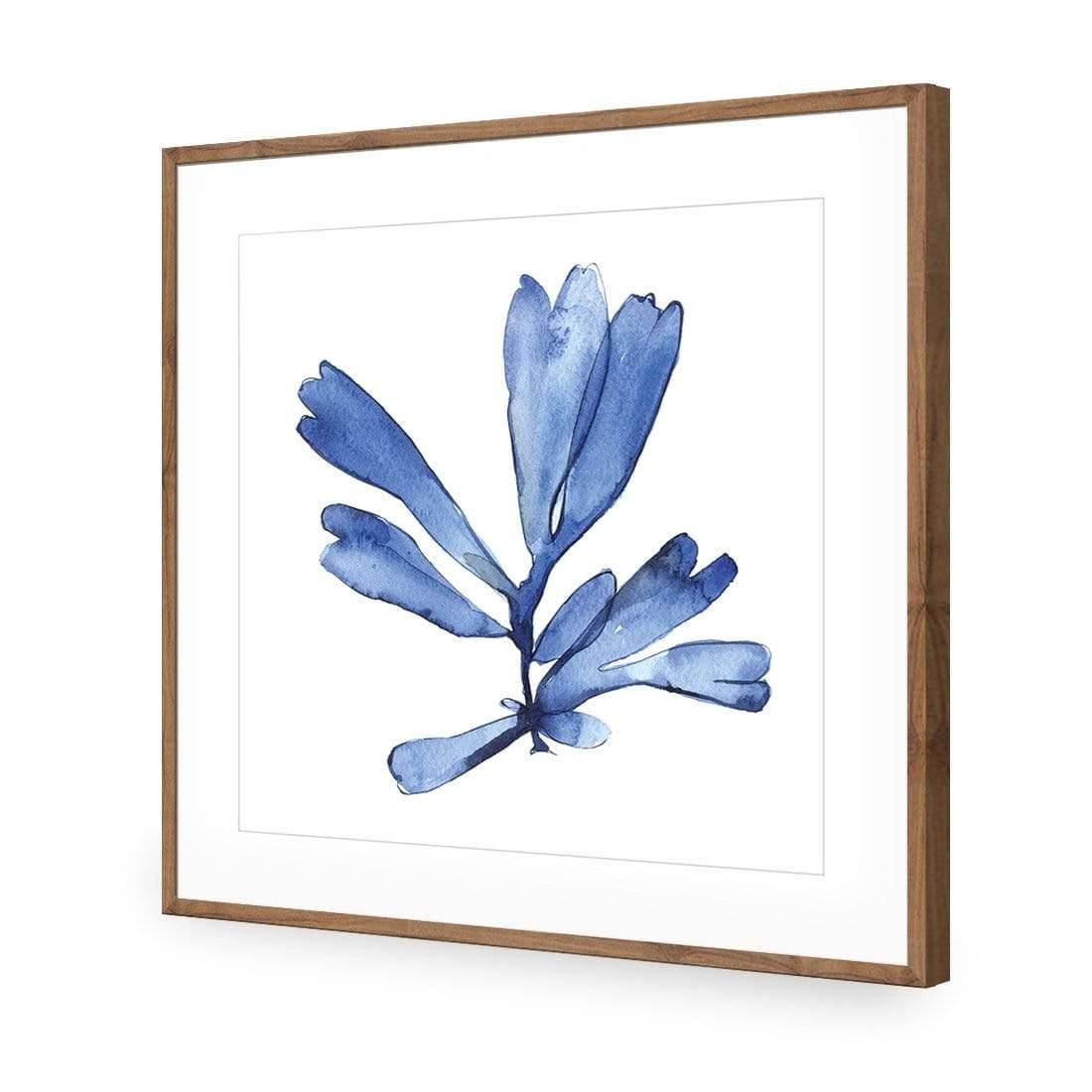 Hampton Flora 1 - Wall Art Designs - 3907_AS_Q WAD_AP - 030 - MAT_37x37_S - 2538 - NAT