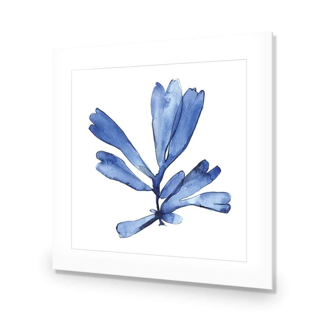 Hampton Flora 1 - Wall Art Designs - 3907_AS_Q WAD_AP - 030 - MAT_37x37_NONE