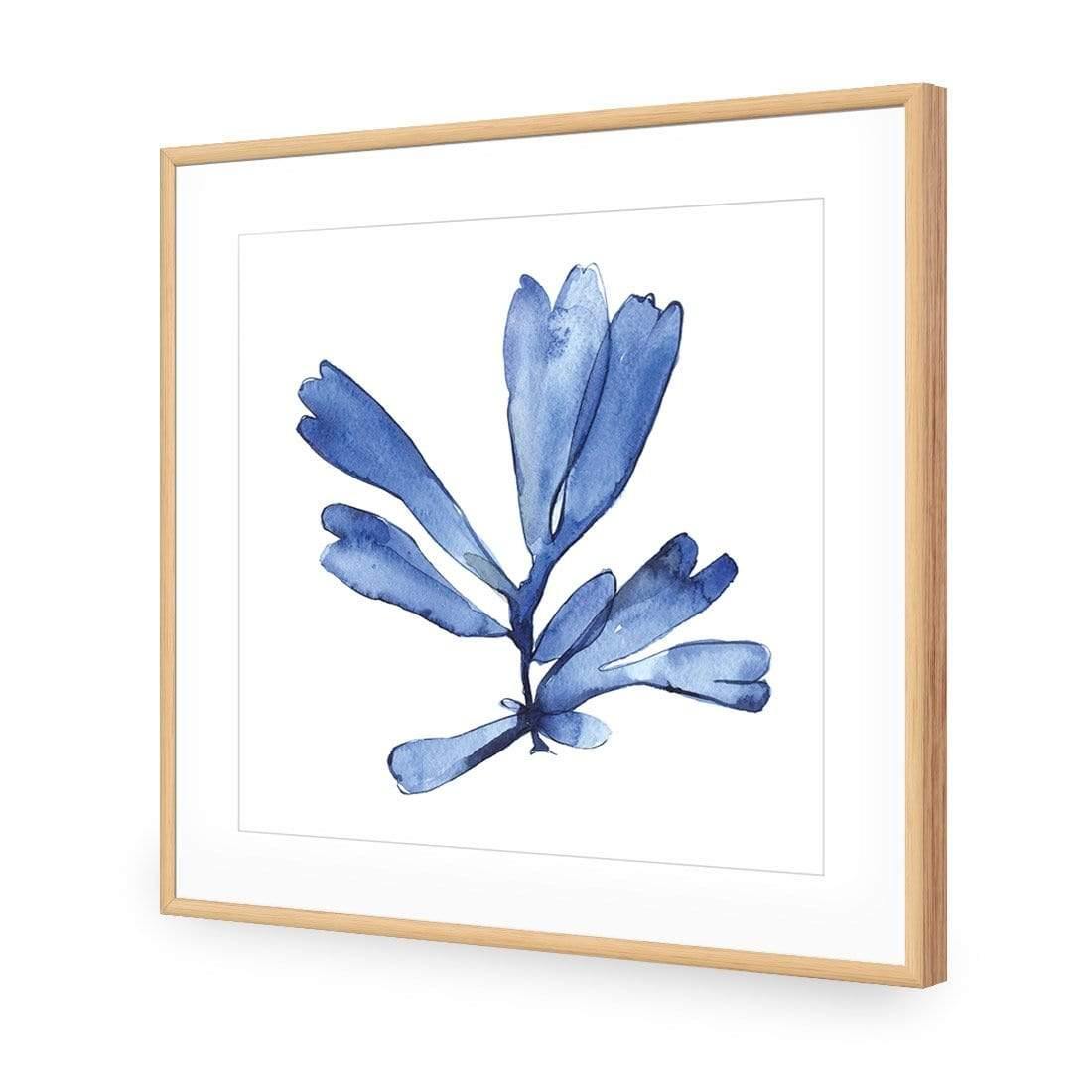 Hampton Flora 1 - Wall Art Designs - 3907_AS_Q WAD_AP - 030 - MAT_37x37_S - 2538 - OAK