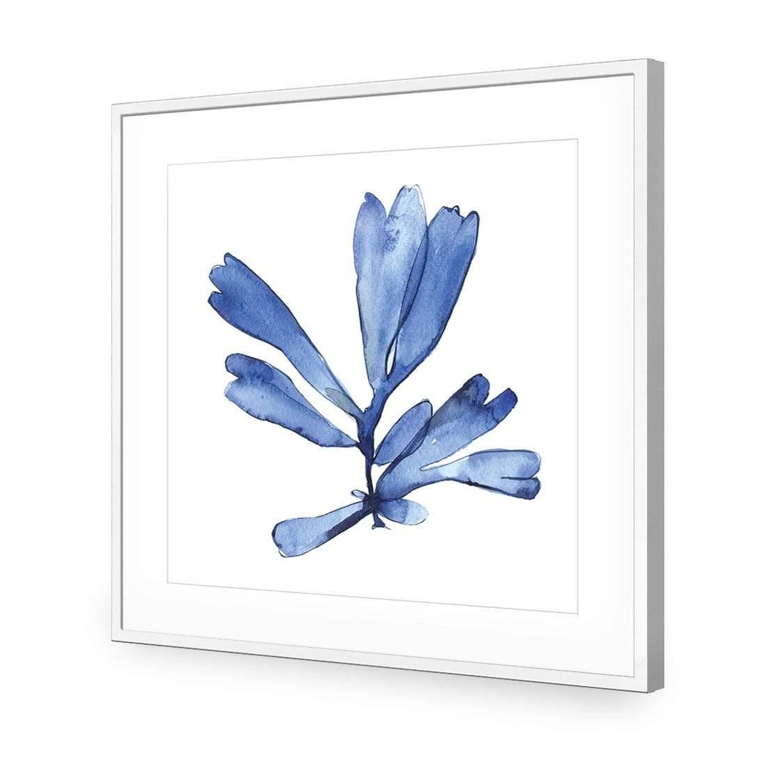 Hampton Flora 1 - Wall Art Designs - 3907_AS_Q WAD_AP - 030 - MAT_37x37_S - 2538 - WHT