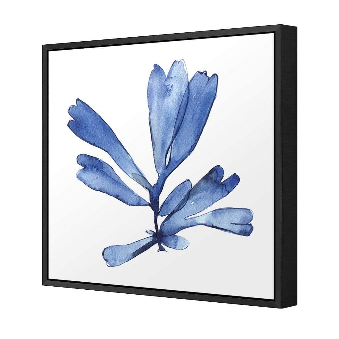 Hampton Flora 1 - Wall Art Designs - 3907_AS_Q WAD_CP - MPY - 260 - M - S - S_37x37_S - 1550 - BLK