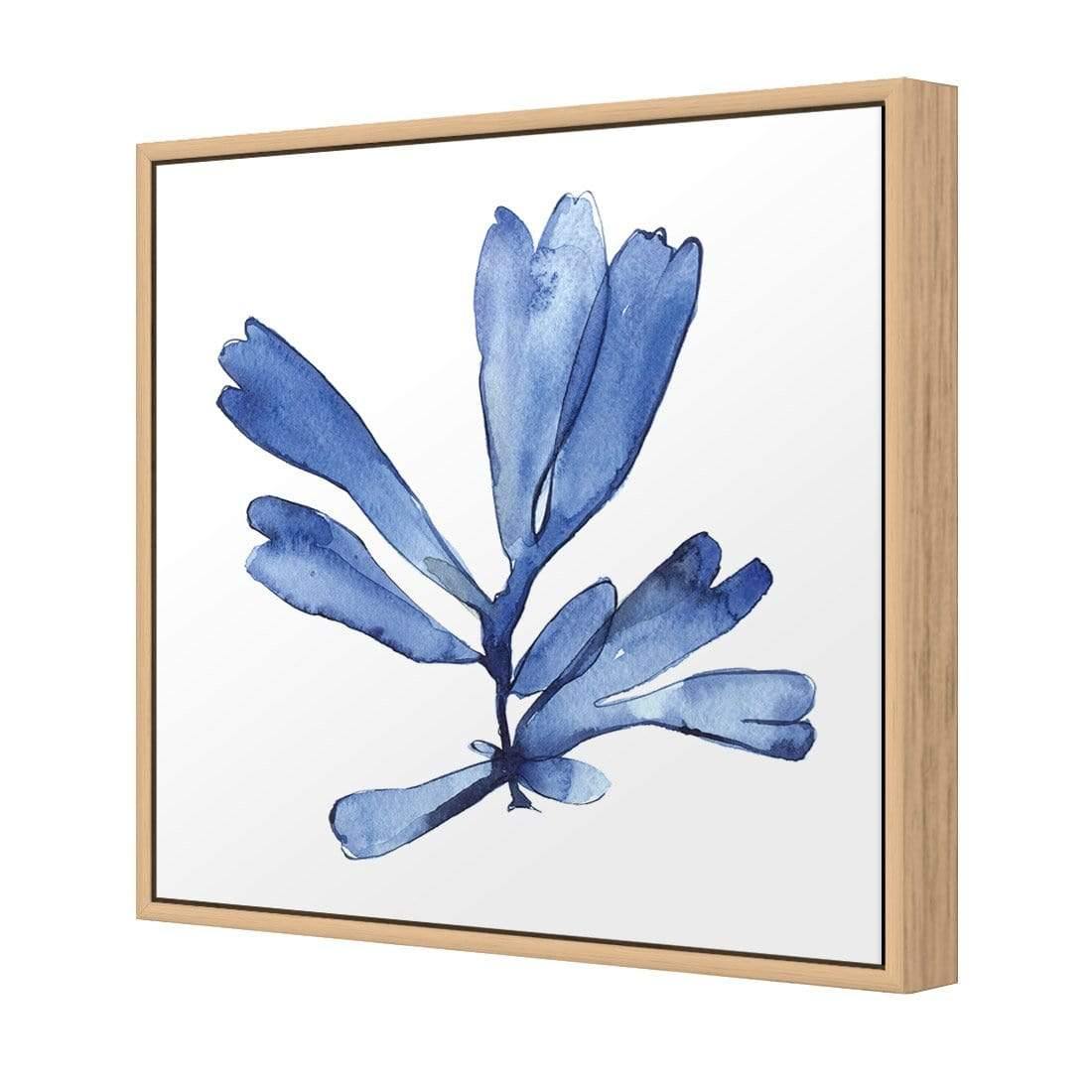 Hampton Flora 1 - Wall Art Designs - 3907_AS_Q WAD_CP - MPY - 260 - M - S - S_37x37_S - 1550 - OAK