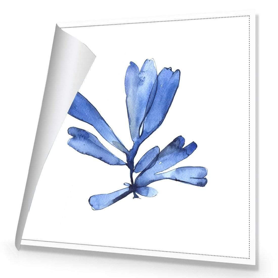 Hampton Flora 1 - Wall Art Designs - 3907_AS_Q WAD_CP - MPY - 260 - M - R_37x37_NONE